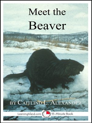 cover image of Meet the Beaver